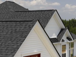Cinder black shingle roof